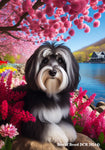 Havanese Black and White  -  Best of Breed DCR Spring House and Garden Flag