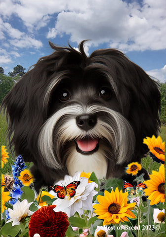 Havanese B/W - Best of Breed  Summer Fields Outdoor House and Garden Flag