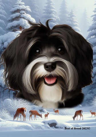 Havanese B/W - Best of Breed  Winter Wonderland Outdoor House and Garden Flag