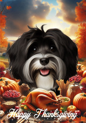 Havanese B/W - Best of Breed  Thanksgiving Outdoor House and Garden Flag