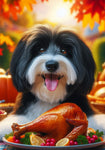 Havanese Black and White- Best of Breed DCR Thanksgiving Outdoor House and Garden Flag