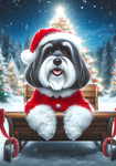 Havanese Black and White- Best of Breed DCR Christmas Outdoor House and Garden Flag