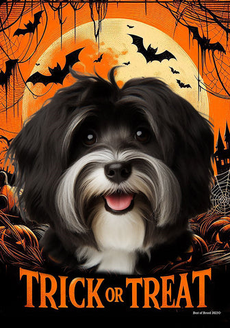 Havanese B/W - Best of Breed  Halloween Outdoor House and Garden Flag