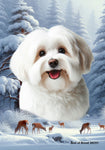 Havanese Cream - Best of Breed  Winter Wonderland Outdoor House and Garden Flag