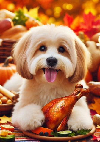 Havanese Cream- Best of Breed DCR Thanksgiving Outdoor House and Garden Flag