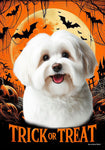 Havanese Cream - Best of Breed  Halloween Outdoor House and Garden Flag