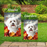 Havanese Cream - Best of Breed  Fall Leaves Outdoor House and Garden Flag