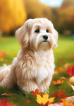 Havanese Cream- Best of Breed DCR Falling Leaves Outdoor Flag