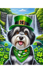 Havanese Black and White- Best of Breed DCR Saint Patricks Day Day Outdoor House and Garden Flag