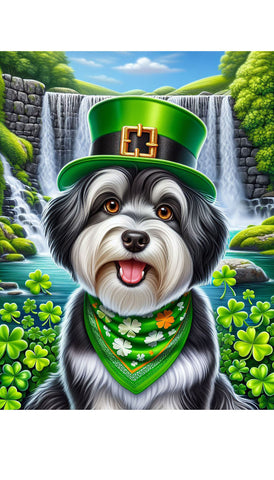 Havanese Black and White- Best of Breed DCR Saint Patricks Day Day Outdoor House and Garden Flag