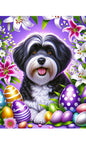 Havanese Black and White- Best of Breed DCR Easter Holiday    Outdoor House and Garden Flag