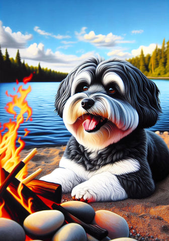 Havanese Black and White- Best of Breed DCR Summer Camping   Outdoor House and Garden Flag