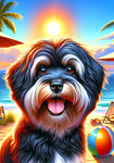 Havanese Black and White- Best of Breed DCR Summer Sunset Outdoor House and Garden Flag