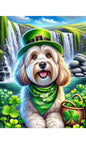 Havanese Cream- Best of Breed DCR Saint Patricks Day Day Outdoor House and Garden Flag