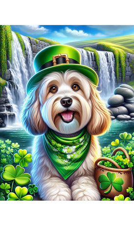 Havanese Cream- Best of Breed DCR Saint Patricks Day Day Outdoor House and Garden Flag