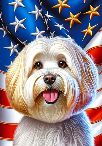 Havanese Cream- Best of Breed DCR Patriotic III   Outdoor House and Garden Flag