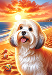 Havanese Cream- Best of Breed DCR Summer Sunset Outdoor House and Garden Flag
