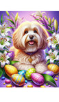 Havanese Cream- Best of Breed DCR Easter Holiday    Outdoor House and Garden Flag