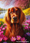 Irish  Setter -  Best of Breed DCR Spring House and Garden Flag