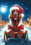 Irish Setter -  Best of Breed DCR Christmas Outdoor House and Garden Flag