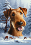 Irish Terrier - Best of Breed  Winter Wonderland Outdoor House and Garden Flag