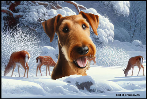 Irish Terrier - Best of Breed Winter Wonderland Floor Mat Tufted Loop 18" x 27"