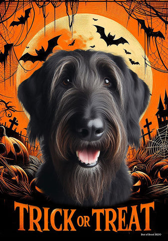 Irish Wolfhound Black - Best of Breed  Halloween Outdoor House and Garden Flag