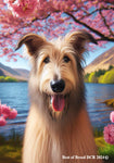 Irish Wolfhound Fawn -  Best of Breed DCR Spring House and Garden Flag