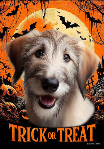 Irish Wolfhound Fawn -  Best of Breed  Halloween Outdoor House and Garden Flag