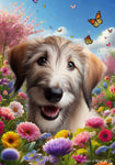 Irish Wolfhound Fawn -  Best of Breed  Spring Butterflies Outdoor House and Garden Flag