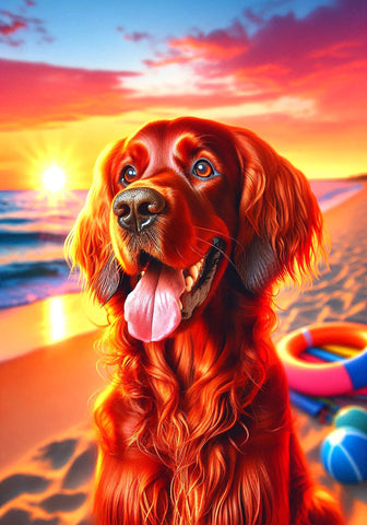 Irish Setter -  Best of Breed DCR Summer Sunset Outdoor House and Garden Flag
