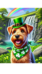 Irish Terrier -  Best of Breed DCR Saint Patricks Day Day Outdoor House and Garden Flag