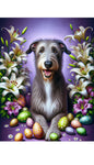 Irish Wolfhound Grey -  Best of Breed DCR Easter Holiday    Outdoor House and Garden Flag