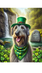 Irish Wolfhound Grey -  Best of Breed DCR Saint Patricks Day Day Outdoor House and Garden Flag