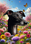 Italian Greyhound Black/White - Best of Breed  Spring Butterflies Outdoor House and Garden Flag