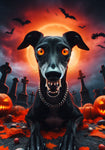 Italian Greyhound Black -  Best of Breed DCR Halloween Outdoor House and Garden Flag