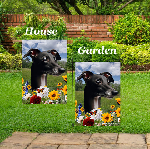 Italian Greyhound Black/White - Best of Breed  Summer Fields Outdoor House and Garden Flag