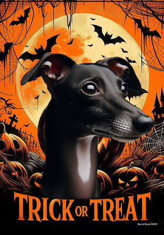 Italian Greyhound Black/White - Best of Breed  Halloween Outdoor House and Garden Flag