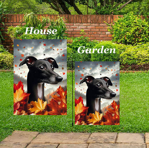 Italian Greyhound Black/White - Best of Breed  Fall Leaves Outdoor House and Garden Flag