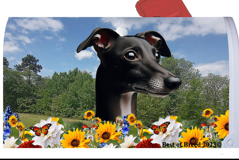 Italian Greyhound Black/White - Best of Breed Summer Flowers Mailbox Cover Hi-Grade Vinyl 6" x 19"