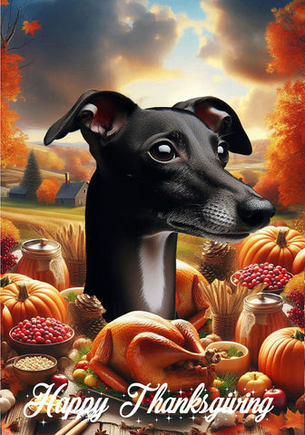 Italian Greyhound Black/White - Best of Breed  Thanksgiving Outdoor House and Garden Flag