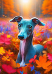 Italian Greyhound Blue -  Best of Breed DCR Falling Leaves Outdoor Flag