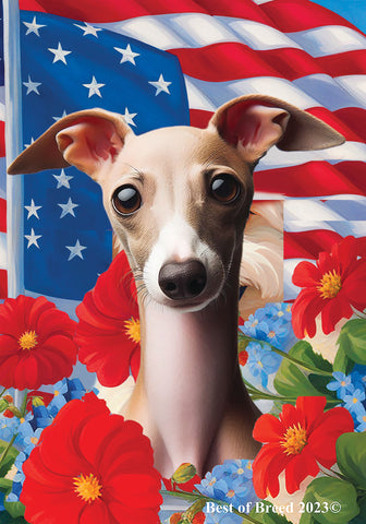 Italian Greyhound Fawn/White - Best of Breed  Patriotic I All-American Outdoor House and Garden Flag