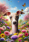 Italian Greyhound Fawn/White - Best of Breed  Spring Butterflies Outdoor House and Garden Flag