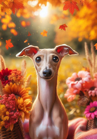 Italian Greyhound Fawn -  Best of Breed DCR Falling Leaves Outdoor Flag