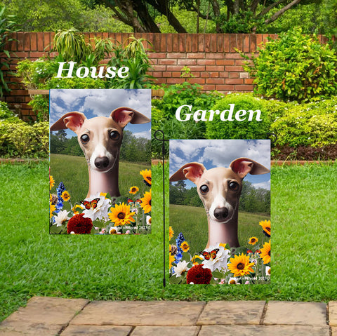 Italian Greyhound Fawn/White - Best of Breed  Summer Fields Outdoor House and Garden Flag