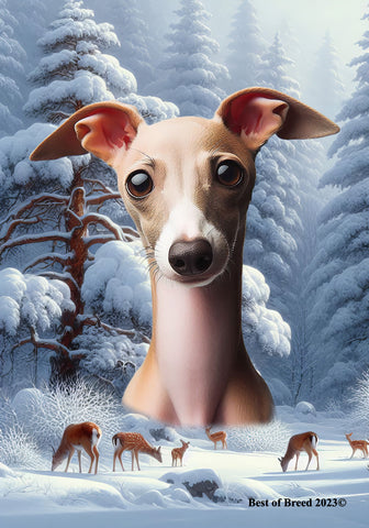 Italian Greyhound Fawn/White - Best of Breed  Winter Wonderland Outdoor House and Garden Flag