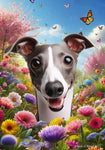 Italian Greyhound Grey/White - Best of Breed  Spring Butterflies Outdoor House and Garden Flag