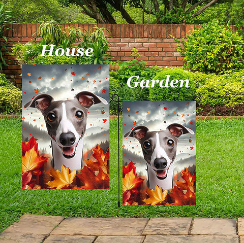 Italian Greyhound Grey/White - Best of Breed  Fall Leaves Outdoor House and Garden Flag