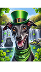 Italian Greyhound Black -  Best of Breed DCR Saint Patricks Day Day Outdoor House and Garden Flag